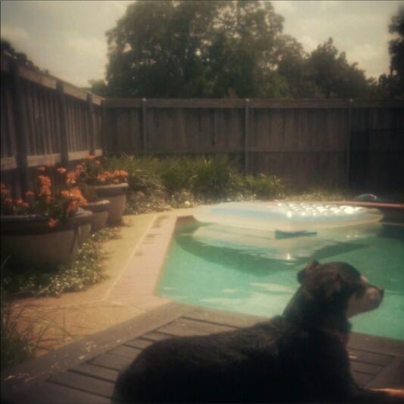 Meet your Posher, Marisa! NOT FOR SALE - Picture 12 of 12